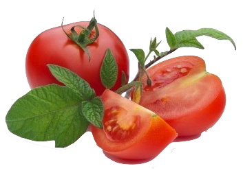 Tomates